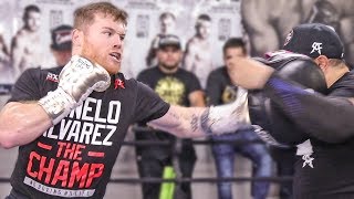 Canelo Álvarez TRAINING CAMP  FULL MEDIA WORKOUT  Canelo vs Kovalev [upl. by Spike]