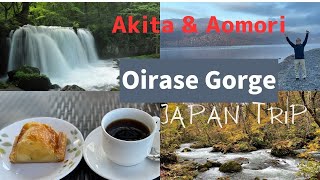 Visit country side of Japan with Yoshie  Towada Lake amp Oirase Gorge [upl. by Yhtorod267]