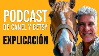 DÍAZ CANEL PODCAST  Te lo traduzco para que lo entiendas [upl. by Zashin]