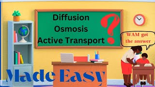 WAM Diffusion Osmosis amp Active Transport [upl. by Wiener]