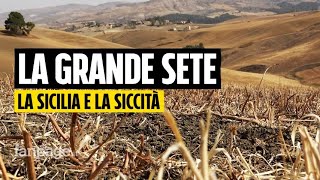 Siccità viaggio nella Sicilia della grande sete “Siamo costretti a macellare i nostri animali” [upl. by Akili]