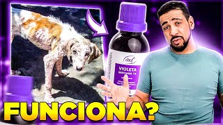 VIOLETA GENCIANA FUNCIONA PARA COCEIRAS EM ANIMAIS [upl. by Gizela735]