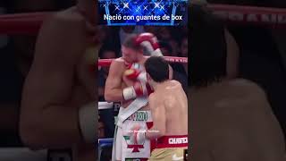 JC Chávez JR antes de usar pañales boxing [upl. by Kcirdnekal]