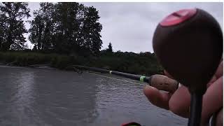 She wanted her own fish  Puyallup River Salmon Fishing 8222024 [upl. by Suravat]