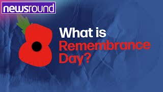 Remembrance Day What is it and why is it important  Newsround [upl. by Marba]