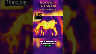 See Through Barriers  Guide Sensmart TN650 ThermalBinoculars [upl. by Zischke227]