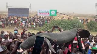 Àt Argungu fishing international fastival KEBBI STATE [upl. by Ahseinet]