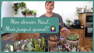 🪴🌵planthaul Succulentes mais pas que…  Mon dernier Haul mais jusquà quand [upl. by Ttehc]