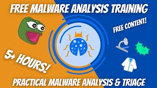 Malware Analysis In 5 Hours  Full Course  Learn Practical Malware Analysis [upl. by Nosnar511]