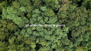 Corto FVG Sensibile Gli Alberi Non Fanno La Guerra [upl. by Nosyt453]