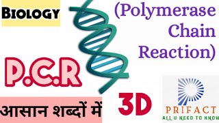 PCR Polymerase chain reaction in hindi  पॉलीमरेज चेन रिएक्शन PCR 3D animation  biology class 12 [upl. by Arbmahs959]