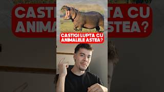 Ai putea să CÂȘTIGI o luptă cu ANIMALELE astea [upl. by Enialem]