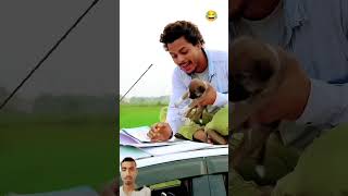 बेटे मम्मी funny dog doglover comedy puppy pet dogsofinstagram shortsfeed trending shorts [upl. by Rosenblum]