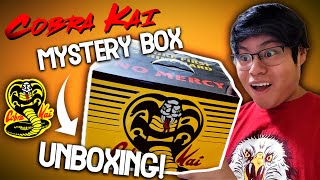 Cobra Kai Mystery Box Unboxing [upl. by Ardnaeed828]