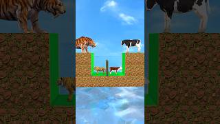 Knowledge vs Money with Cow Tiger Funny Cartoon 3d Animal Game shorts cow tiger animalgame [upl. by Lepley]