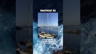 Becoming a yachtsman is not expensive as you think  sailing yachting sailboat [upl. by Catherina]