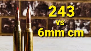 243 vs 6mm creedmoor [upl. by Ranitta419]