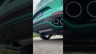 2023 Alfa Romeo Stelvio Quadrifoglio Exhaust Revs [upl. by Norabel704]