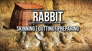 How to skin a Rabbit  TA Outdoors [upl. by Enelhtak]