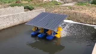 Solar fish pond aeratorfish farm aerator [upl. by Ranite]