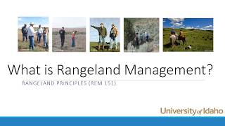 What is Rangeland Management [upl. by Robert]