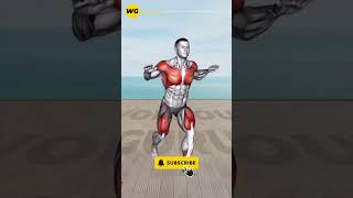 ➜ Efficient Effective ➜ 10 MIN Standing Abs Workout for a Strong Core Exercise 6 [upl. by Etiragram]