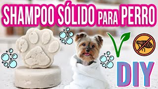 SHAMPOO SÓLIDO PARA PERRO  DIY  ZERO WASTE  VEGANO  Mixi [upl. by Nali]