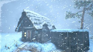 BLIZZARD sounds for sleeping  10 hours Blizzard ambience [upl. by Fonsie484]