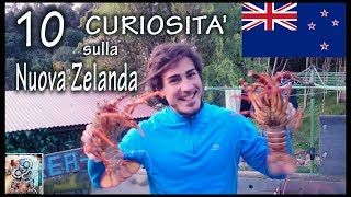 10 Curiosità sulla Nuova Zelanda [upl. by Siocnarf]