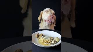 Mr Leo eating challenge😊🐶trending foryou food [upl. by Ldnek]