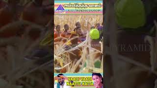 Vaadi Vaadi Naattu Video Song  Alli Thantha Vaanam Movie Songs  Prabhu Deva  Neha  YTShorts [upl. by Felicity]