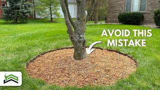 Tree Edging and Mulching Mastery  Tips for PicturePerfect Circles [upl. by Adamo]