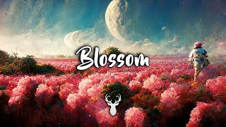 Blossom  Beautiful Chill Mix [upl. by Meaghan]