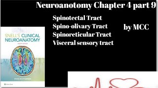 Neuroanatomy chapter 4 part 9Spinotectal TractSpinoreticular TractSpino olivary TractVisceral [upl. by Wiley]