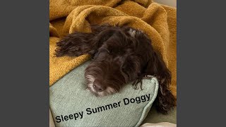 Sleepy Summer Doggy Acoustic Version [upl. by Hoag]