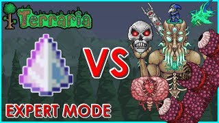 Terraria  Last Prism vs All Bosses and Events  Dungeon Guardian Expert Mode  Biron [upl. by Notsnarc]