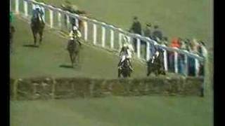 Alan Partridge  Horse racing commentary [upl. by Preiser]