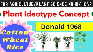 Plant Ideotypes  Ideotype Breeding  Ideal Plant Type [upl. by Nnylarak74]