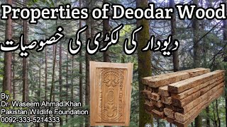 Deodar Wood Benefits  Diyar Ki Lakri Kay Faiday  دیار کی لکڑی کے فائدے [upl. by Albers]