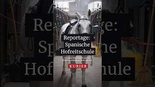 Die Spanische Hofreitschule ist die älteste Reitschule der Welt pferd wien reiten reitschule [upl. by Elocn]