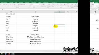 Concatenare celule în Excel [upl. by Eisor]