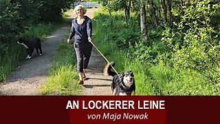 AN LOCKERER LEINE  Wilma  von Maja Nowak  Teil 4 [upl. by Aysa]