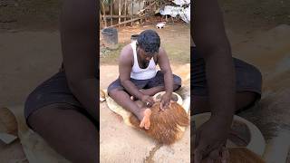 Traditional South Indian Music Instrument Parai making from Animal Hide [upl. by Nosnar]