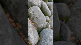 Wandern im Steinmeer Odenwald [upl. by Tenaej]