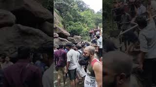 Palaruvi Waterfalls in keralaPalaruviWaterfallskeralaelephantshorts [upl. by Motch]