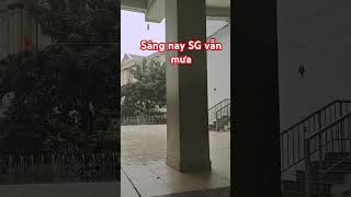 BUỒN Sau bão Sài Gòn vẫn mưa shorts mua bao top trending saigon [upl. by Ligetti263]