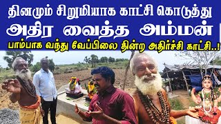 தினமும் சிறு பெண்ணாக நேரடி காட்சி கொடுத்து அதிர வைத்த அம்மன்  Sri Uthira Kaliyamman Temple [upl. by Baalman422]