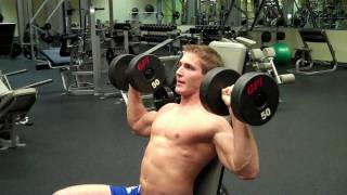 How To Dumbbell Shoulder Press [upl. by Anceline299]