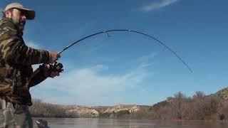 GUIA DE PESCA DEL SILURO 240 AL LANCE EN MEQUINENZA RIO EBRO POR LORENZO MARTINEZ [upl. by Ares428]