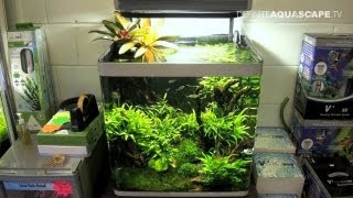 Aquascaping  Aquarium Ideas from Aquatics Live 2011 part 2 [upl. by Whitnell]